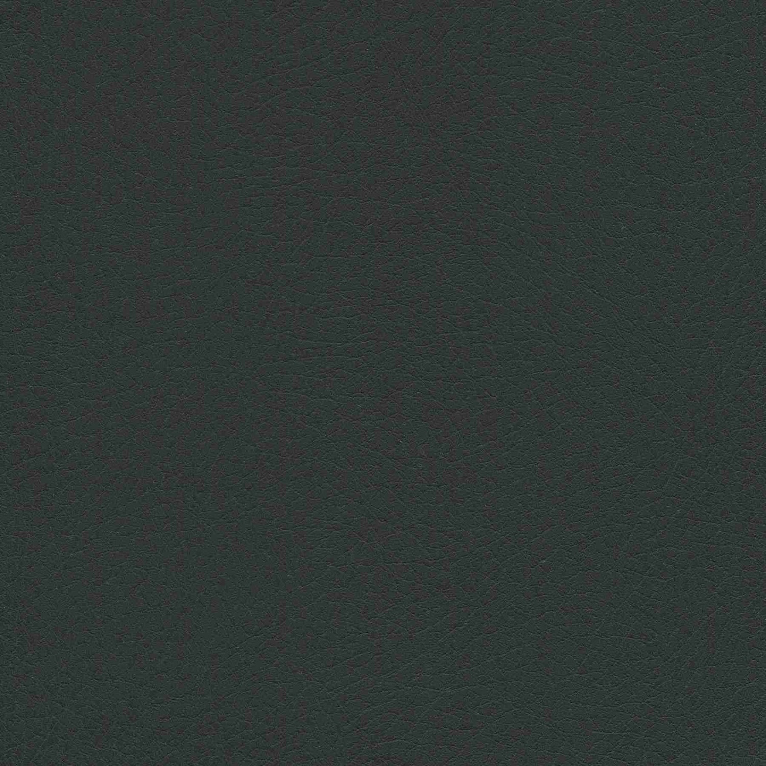 Sample of Enduratex Vaquero Night Rider 1036 Upholstery Fabric