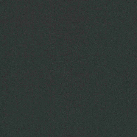 Sample of Enduratex Vaquero Night Rider 1036 Upholstery Fabric