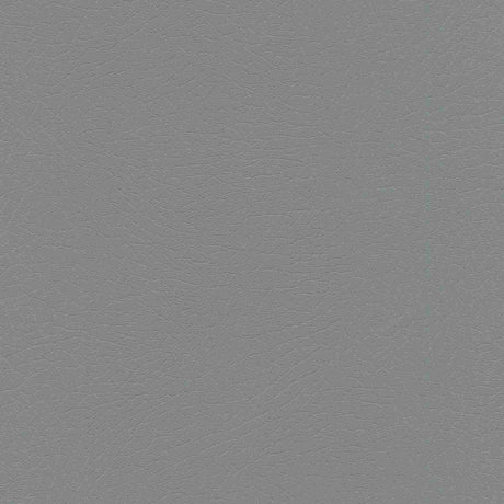 Sample of Enduratex Vaquero Pyrite 1040 Upholstery Fabric