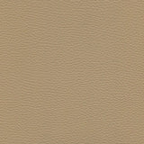 Sample of Enduratex Verona Camel 7483 Upholstery Fabric