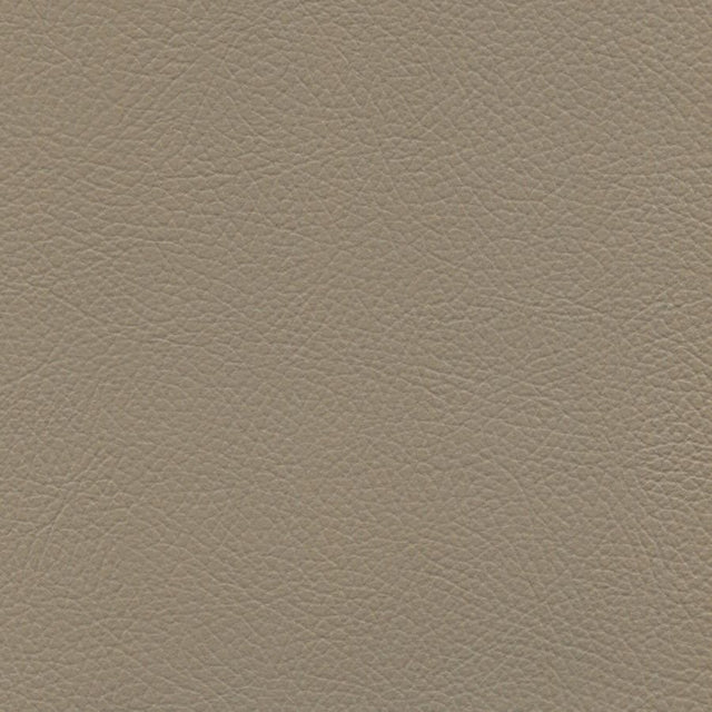 Sample of Enduratex Verona Medium Light Stone 7528 Upholstery Fabric