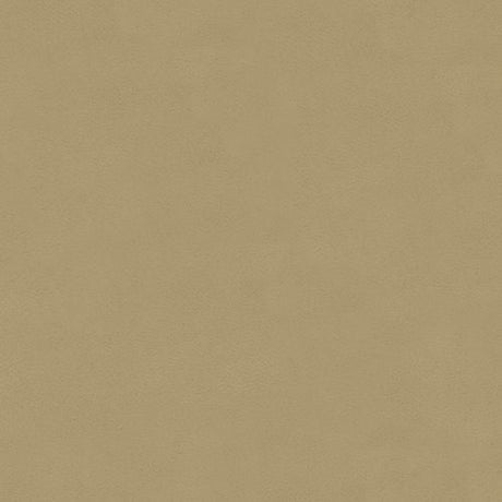 Sample of English 81 Ivory Automotive Upholstery Fabric