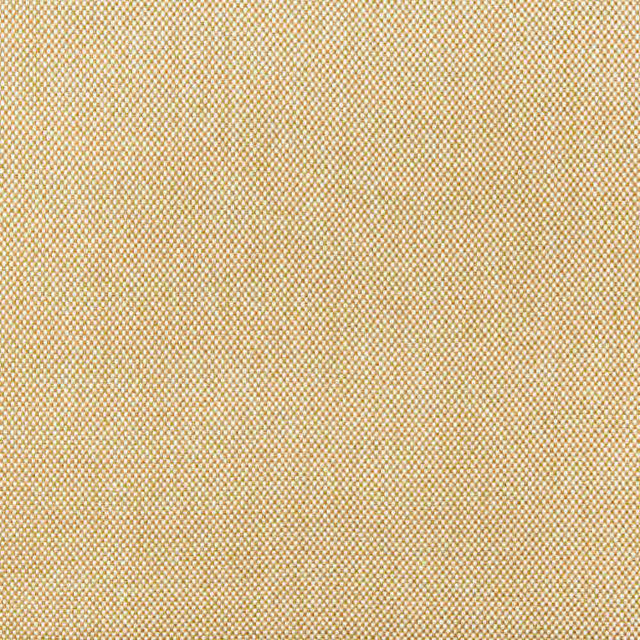 Sample of Kravet Basics 36829-16 Indoor/Outdoor Collection Upholstery Fabric