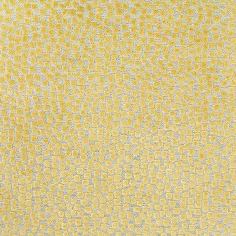 Kravet Basics Flurries Citrine 34849-40 Thom Filicia Altitude Collection Indoor Upholstery Fabric