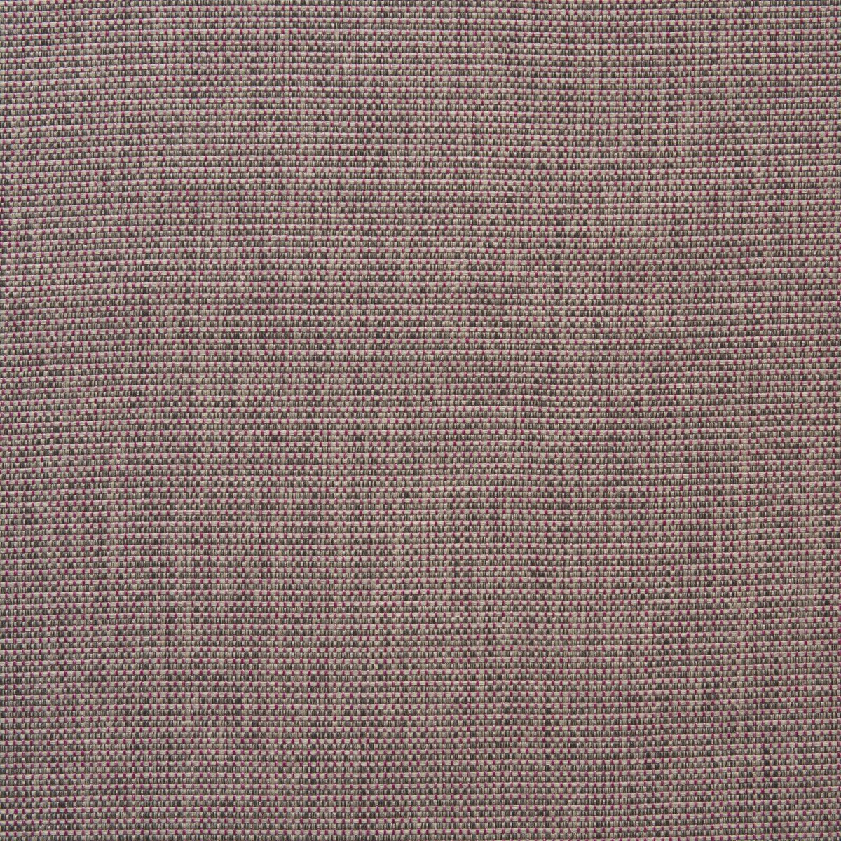 Sample of Kravet Couture Barrington Paradise Am100365-619 Barrington Collection by Andrew Martin Upholstery Fabric
