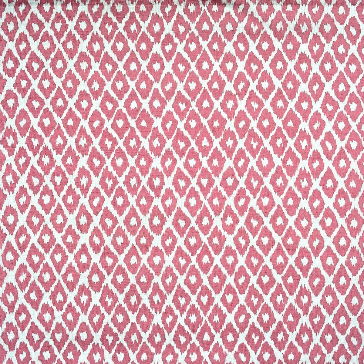 Sample of Kravet Couture Gypsum Outdoor Tropic AM100349-17 The Great Outdoors Collection by Andrew Martin Upholstery Fabric