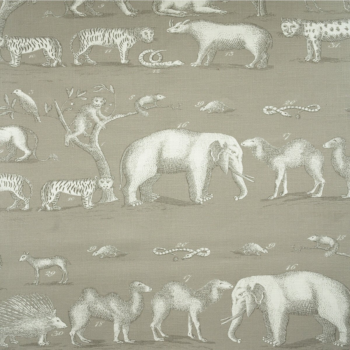 Sample of Kravet Couture Kingdom Outdoor Cloud Am100350-11 The Great Outdoors Collection by Andrew Martin Upholstery Fabric