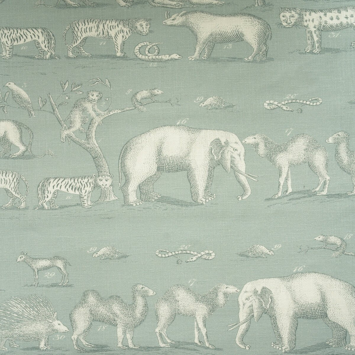 Sample of Kravet Couture Kingdom Outdoor Ice Am100350-15 The Great Outdoors Collection by Andrew Martin Upholstery Fabric