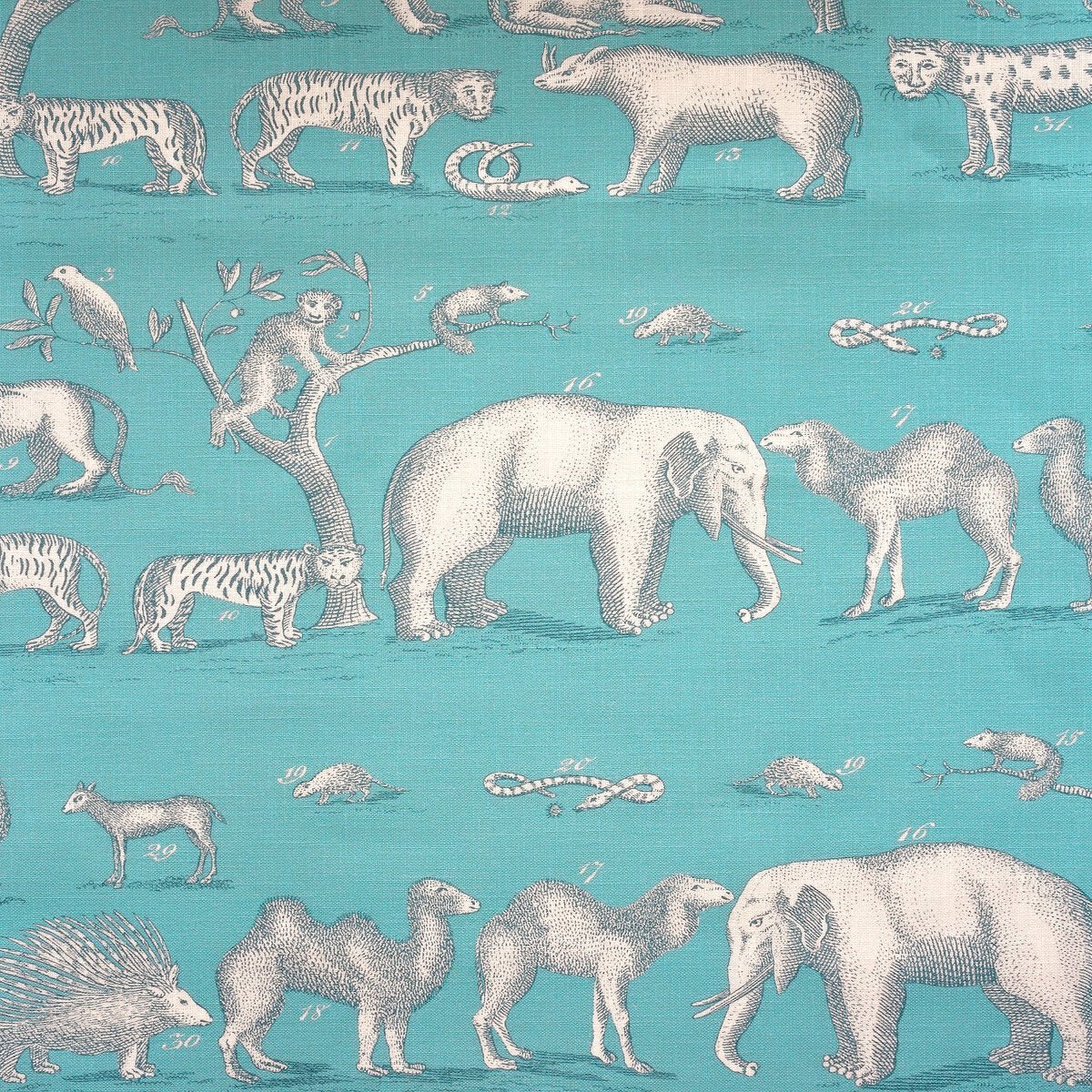 Sample of Kravet Couture Kingdom Outdoor Lagoon Am100350-13 The Great Outdoors Collection by Andrew Martin Upholstery Fabric