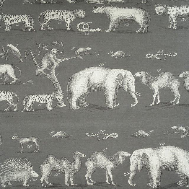 Sample of Kravet Couture Kingdom Outdoor Rock Am100350-21 The Great Outdoors Collection by Andrew Martin Upholstery Fabric