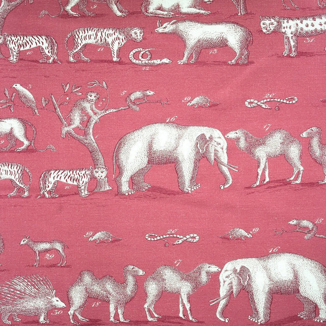 Sample of Kravet Couture Kingdom Outdoor Tropic Am100350-17 The Great Outdoors Collection by Andrew Martin Upholstery Fabric