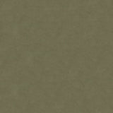 Kravet Design 30787-1121 Ultrasuede Collection Indoor Upholstery Fabric