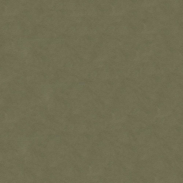 Kravet Design 30787-1121 Ultrasuede Collection Indoor Upholstery Fabric