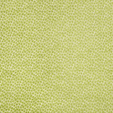 Kravet Design 34682-3 Crypton Home Collection Indoor Upholstery Fabric