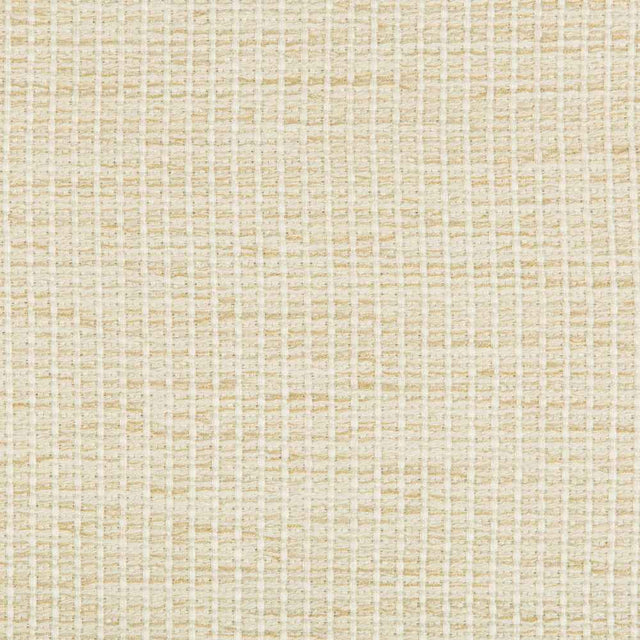 Kravet Design 35123-116 Performance Crypton Home Collection Indoor Upholstery Fabric