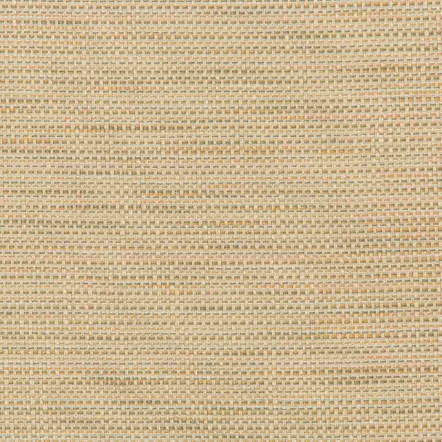 Sample of Kravet Design 36082-106 Inside Out Performance Fabrics Collection Upholstery Fabric