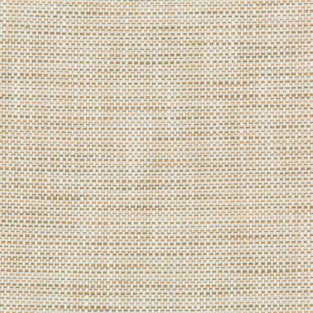 Sample of Kravet Design 36082-161 Inside Out Performance Fabrics Collection Upholstery Fabric