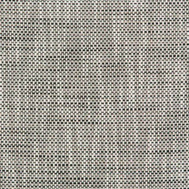 Kravet Design 36082-81 Inside Out Performance Fabrics Collection Upholstery Fabric