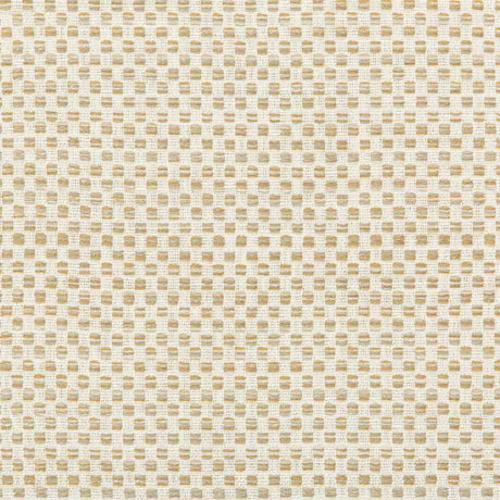 Sample of Kravet Design 36090-16 Inside Out Performance Fabrics Collection Upholstery Fabric