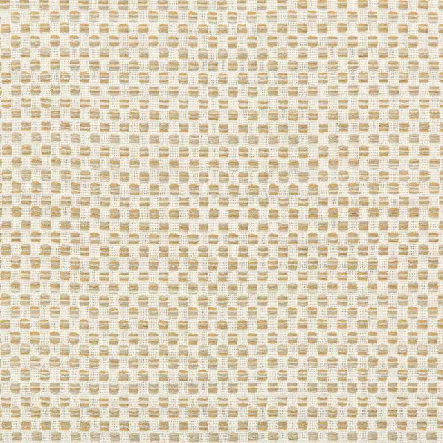Sample of Kravet Design 36090-16 Inside Out Performance Fabrics Collection Upholstery Fabric