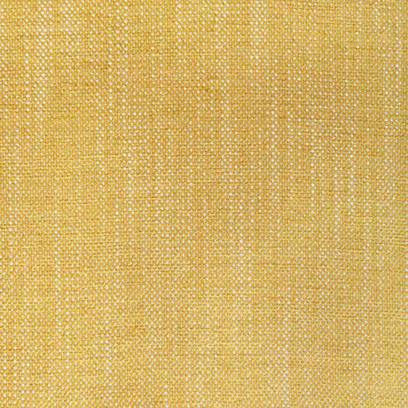 Kravet Design 36408-40 Performance Crypton Home Collection Indoor Upholstery Fabric