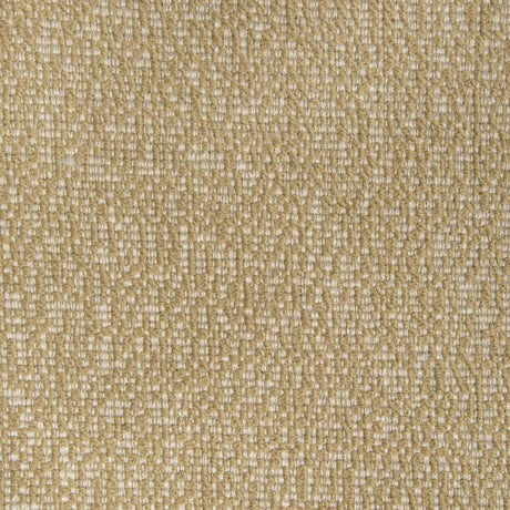 Sample of Kravet Design 36886-1616 Inside Out Performance Fabrics Collection Upholstery Fabric