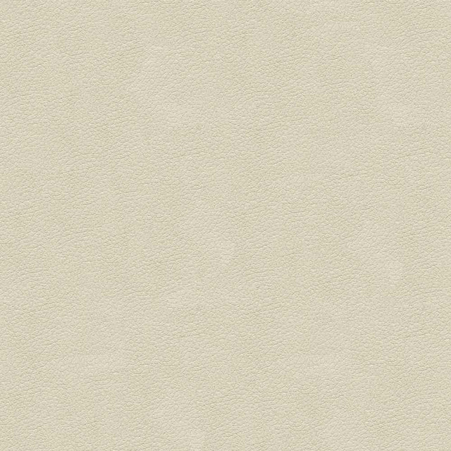 Sample of Kravet Design Ali White 111 Ultraleather Plus IV Collection Upholstery Fabric