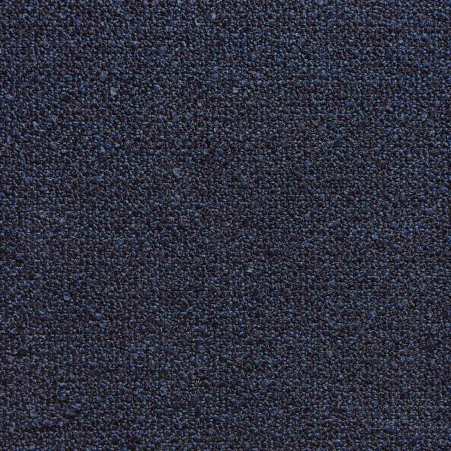 Sample of Kravet Design Calella Lz30399-4 Lizzo Indoor/Outdoor Collection Upholstery Fabric