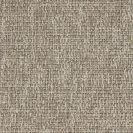 Sample of Kravet Design Camelia Lz30346-06 Lizzo Indoor/Outdoor Collection Upholstery Fabric