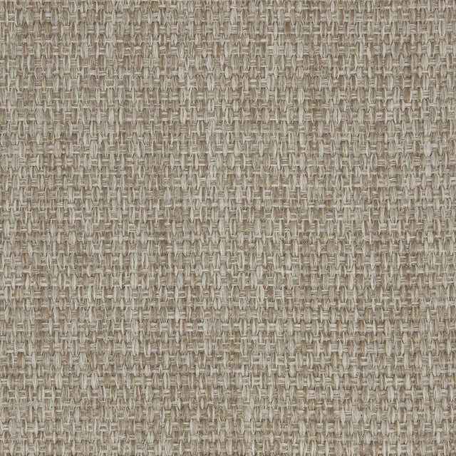 Sample of Kravet Design Camelia Lz30346-06 Lizzo Indoor/Outdoor Collection Upholstery Fabric