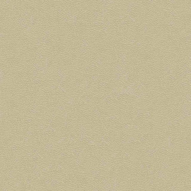 Sample of Kravet Design Grana Beige 1116 Ultraleather Plus Upholstery Fabric