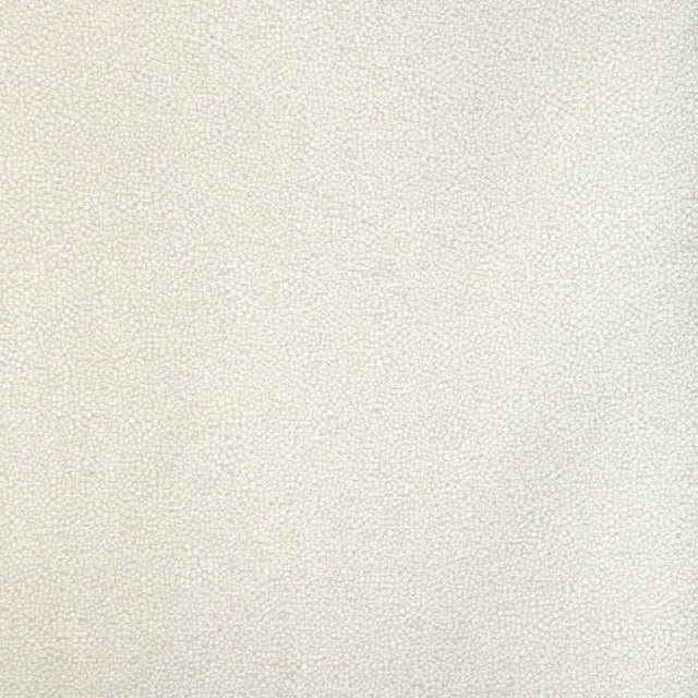 Sample of Kravet Design Mulford Sugar 37052-101 Latitude Collection by Thom Filicia Upholstery Fabric