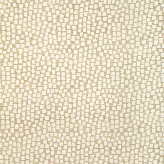 Sample of Kravet Design Step Above Chablis 37062-16 Latitude Collection by Thom Filicia Upholstery Fabric