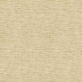 Kravet Smart 33831-1116 Crypton Home Collection Indoor Upholstery Fabric