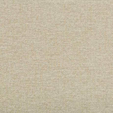 Kravet Smart 35393-116 Performance Crypton Home Collection Indoor Upholstery Fabric