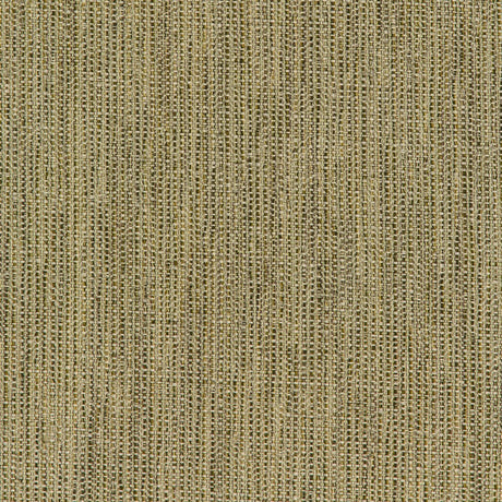 Kravet Smart 35965-316 Performance Crypton Home Collection Indoor Upholstery Fabric