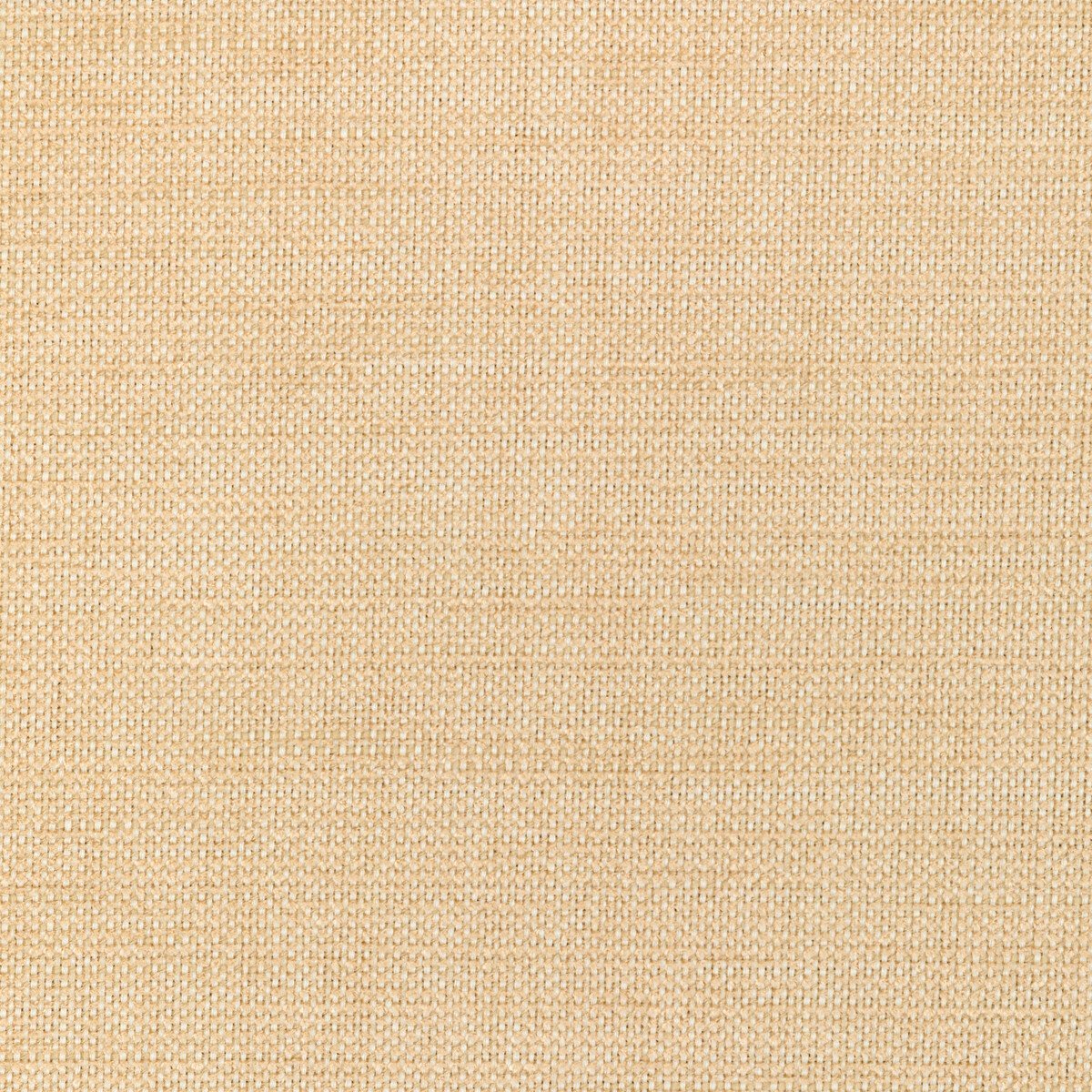 Kravet Smart 36302-116 Performance Crypton Home Collection Indoor Upholstery Fabric