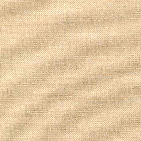 Kravet Smart 36302-116 Performance Crypton Home Collection Indoor Upholstery Fabric