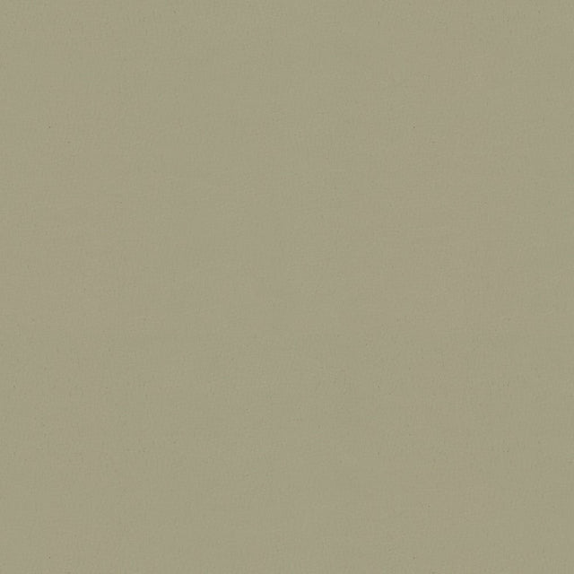 Sample of Kravet Sol Nickel 11 Upholstery Fabric