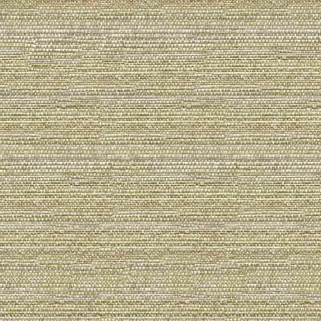 Sample of Kravet Sunbrella 31695 - 1611 Upholstery Fabric