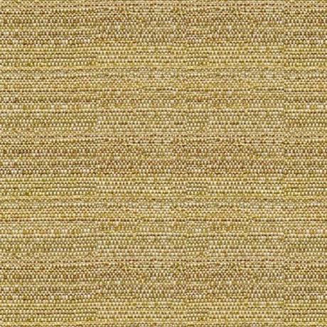 Kravet Sunbrella 31695-416 Upholstery Fabric