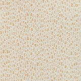 Sample of Lee Jofa Modern Combe Sesame 3787-1614 Oculum Indoor/Outdoor Collection by Kelly Wearstler Upholstery Fabric