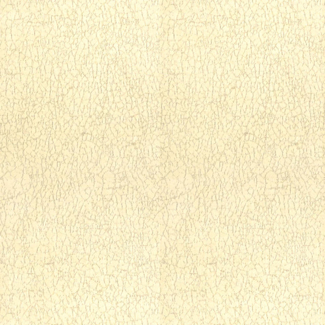Lee Jofa Modern Sunbrella Breakwater Oyster GWF-3419-101 by Kelly Wearstler Upholstery Fabric
