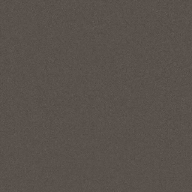 Sample of Mayer Apollo Silicone Espresso SAP-020 Upholstery Fabric