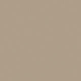 Sample of Mayer Apollo Silicone Latte SAP-027 Upholstery Fabric