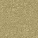 Sample of Mayer Belize Palm 326-003 Getaway Collection Upholstery Fabric