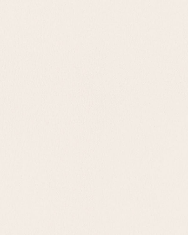 Sample of Mayer Durango Alabaster DU-017 Cambridge Coordinates Collection Upholstery Fabric