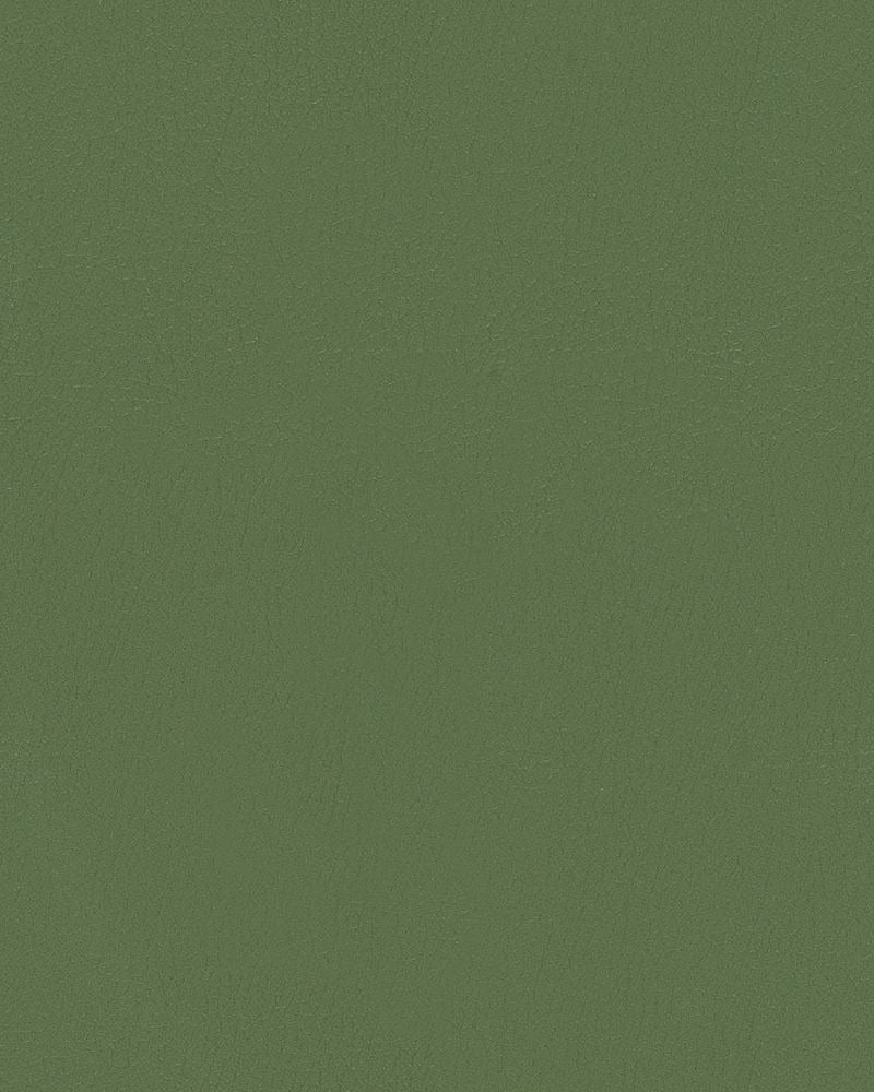 Sample of Mayer Durango Basil DU-013 Cambridge Coordinates Collection Upholstery Fabric
