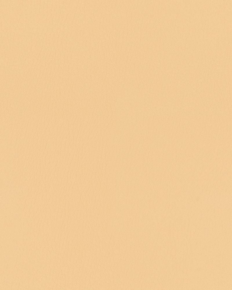 Sample of Mayer Durango Chamois DU-002 Cambridge Coordinates Collection Upholstery Fabric