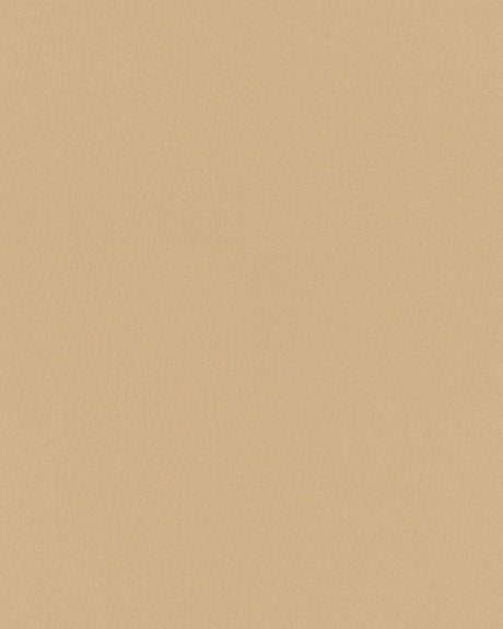 Sample of Mayer Durango Natural DU-007 Cambridge Coordinates Collection Upholstery Fabric